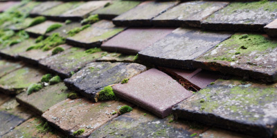 Burston roof repair costs